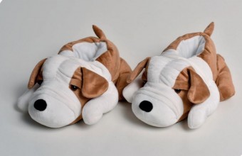 pantufa Dog 